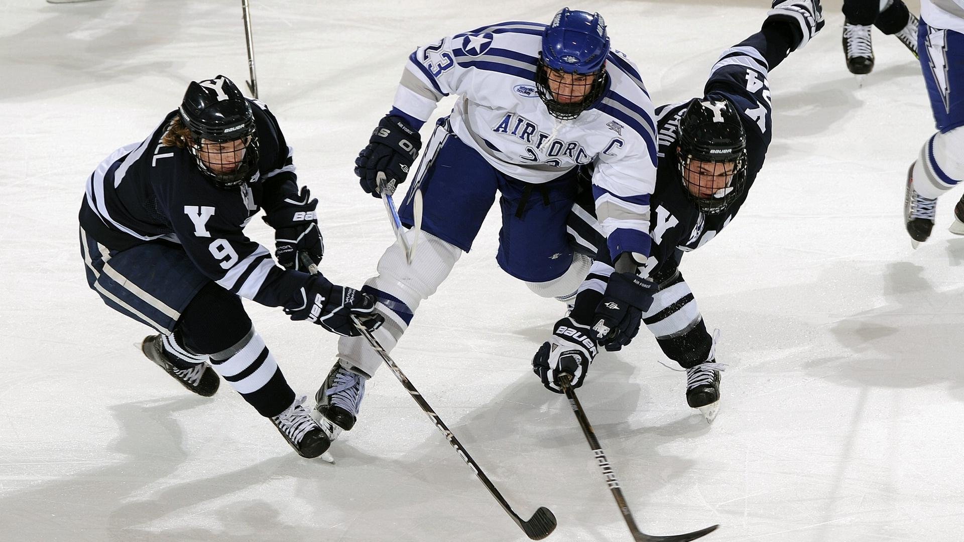 球迷风云:粉丝社群对联盟未来影响巨大,球队粉丝