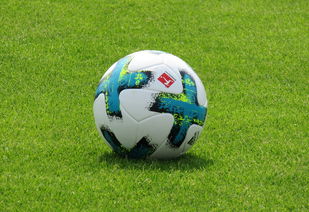 开云官方-德甲防守战术转变对定位球防守效果的影响分析，德国足球防守大师