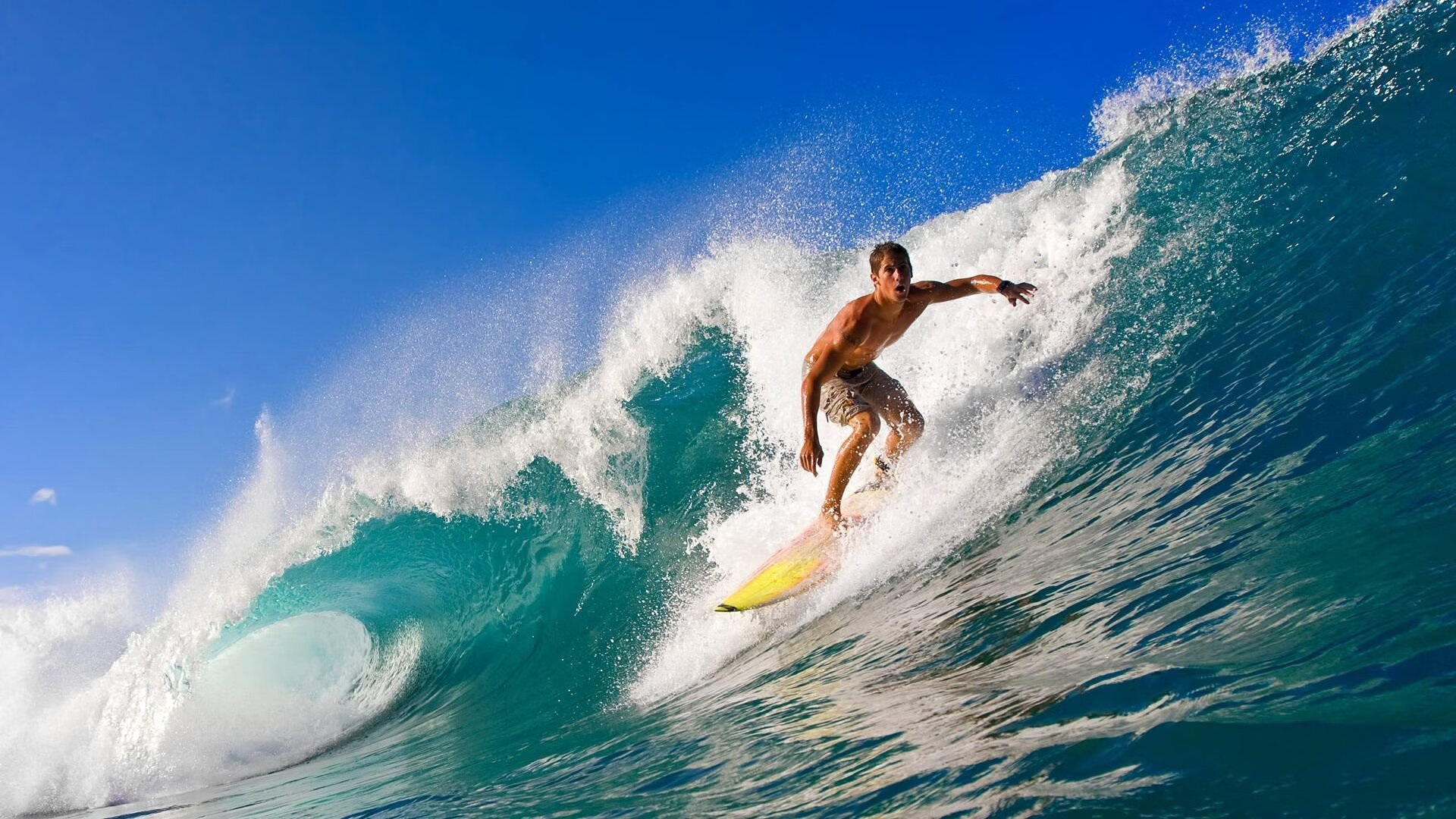 技术细腻 施瓦茨自由泳打出节奏美学,swolf自由泳